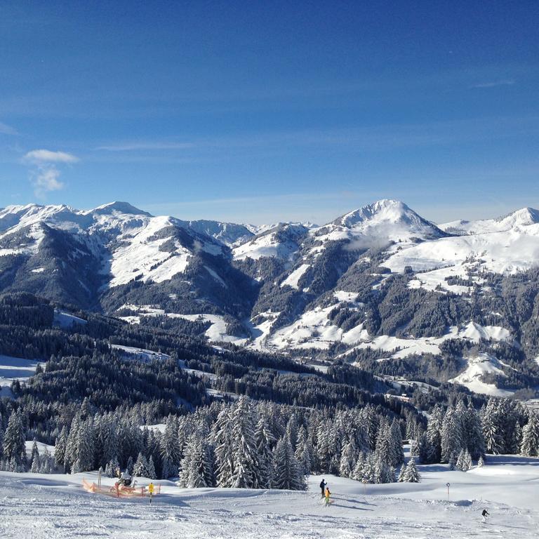Appartement Lisa Schweiger Kirchberg in Tirol Kültér fotó