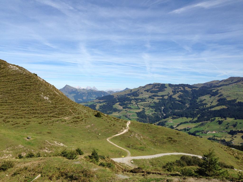 Appartement Lisa Schweiger Kirchberg in Tirol Kültér fotó