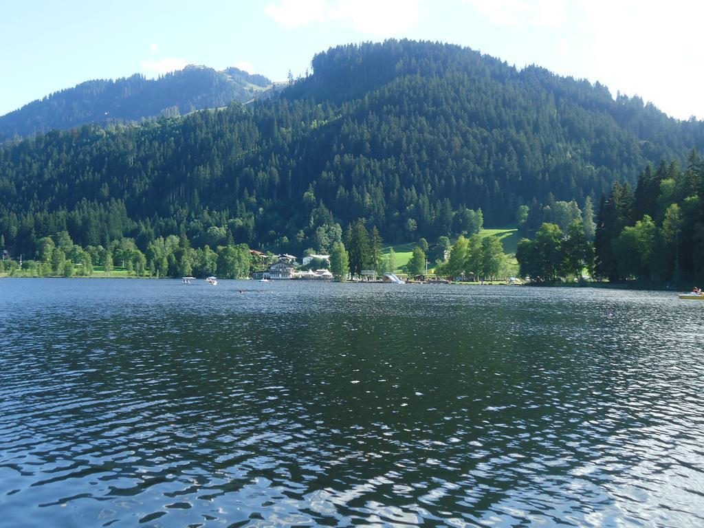 Appartement Lisa Schweiger Kirchberg in Tirol Kültér fotó