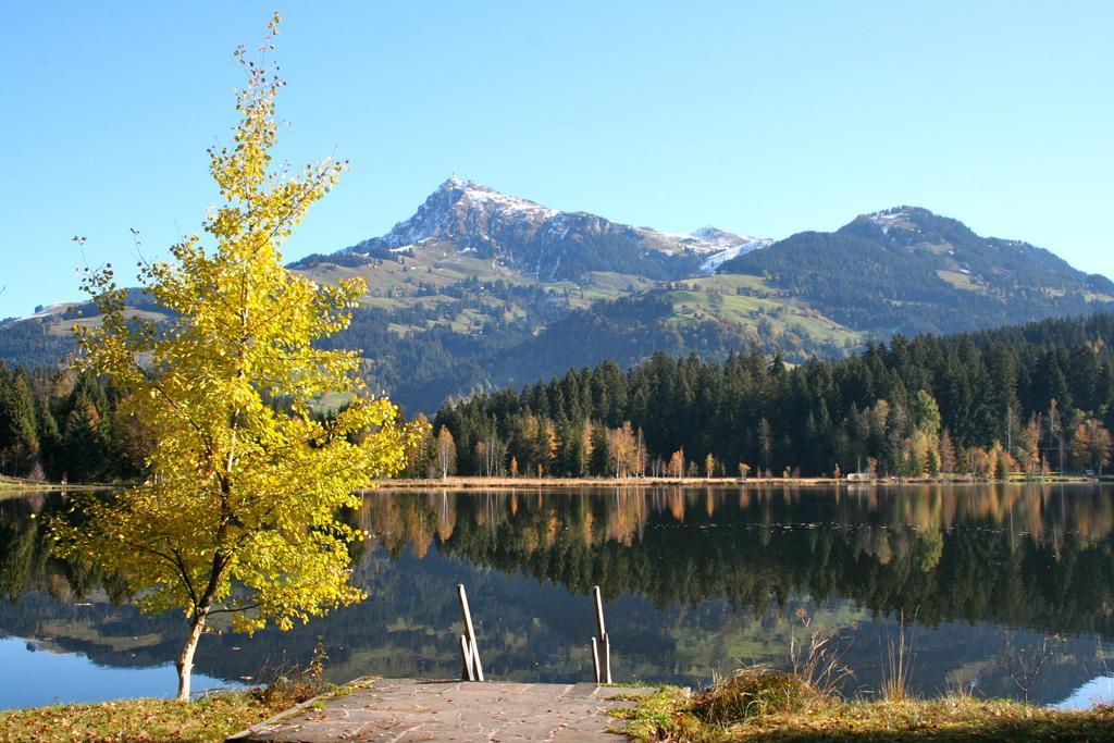 Appartement Lisa Schweiger Kirchberg in Tirol Kültér fotó